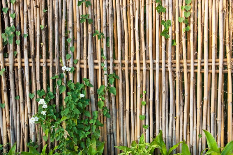 Bamboo Fence